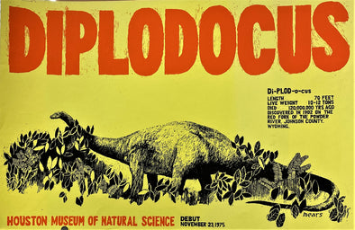 Diplodocus